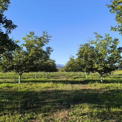 Photo Gallery 30